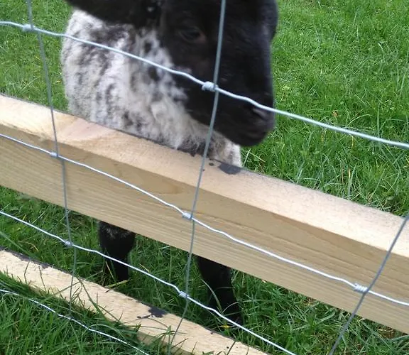 Kilbora B&B Bed & Breakfast 3*