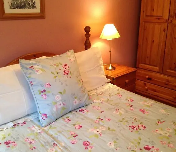 Kilbora B&B 3* Camolin