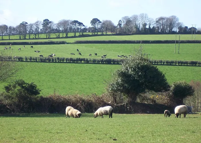 Kilbora B&B Bed & Breakfast 3*